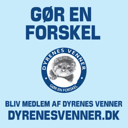 Dyrenes Venners Logo, dyrenes venner, dyreværn, dyrebeskyttelse, Peter Mollerup, Dyrenes Venner, dyreværnsorganisation, dyrevennen, dyrenes beskyttelse, dyrebeskyttelse