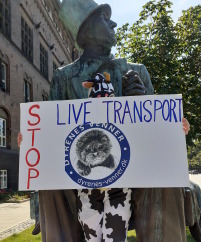 Dyretransport, stop dyretransporter